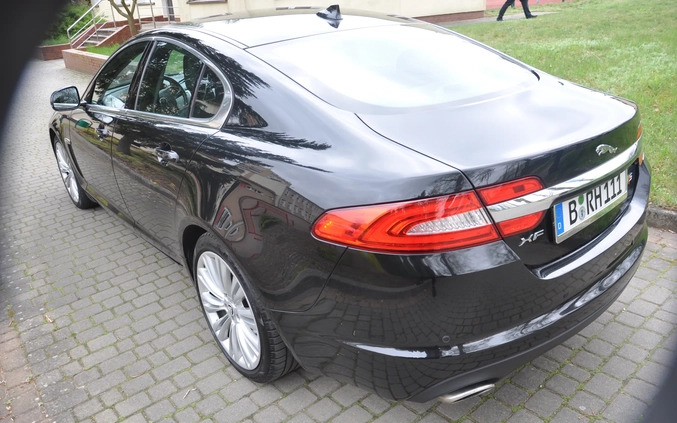 Jaguar XF cena 59900 przebieg: 226000, rok produkcji 2014 z Recz małe 436